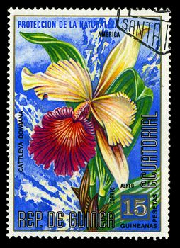 EQUATORIAL GUINEA - CIRCA 1974: A stamp printed in Equatorial Guinea shows Cattleya Dowiana, series is devoted to flowers, circa 1974