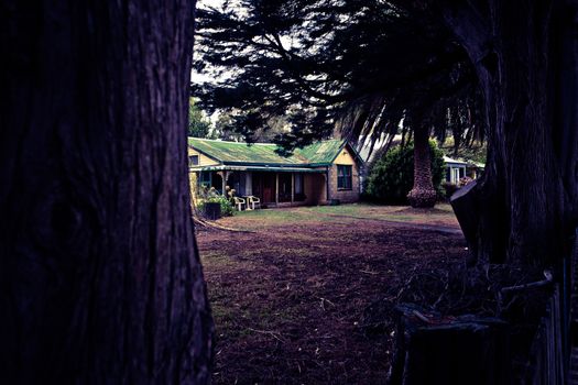 Rambling rural farmhouse with an open front verandah and corrugated iron roof viewed from between the trunks of two big trees