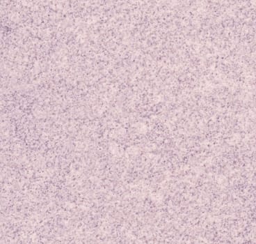 Pink marble texture background (High resolution scan)