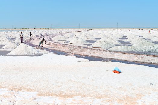SAMMBHAR SALT LAKE, INDIA - NOV 19: Workers collect salt in salt farm on Nov 19, 2012 in Sambhar Salt Lake, India. It is India's largest saline lake where salt has been farmed for a thousand years. 