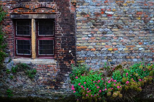 Old vintage brick wall with rusty window and colorful flowers