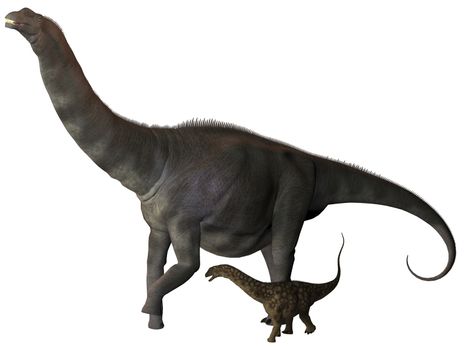 Argentinosaurus was a titanosaur sauropod dinosaur from the Cretaceous epoch in Argentina.