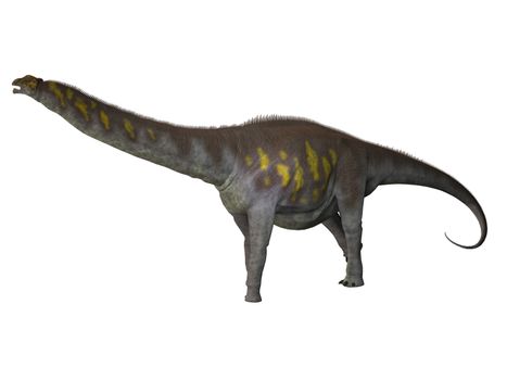 Argentinosaurus was a titanosaur sauropod dinosaur from the Cretaceous epoch in Argentina.