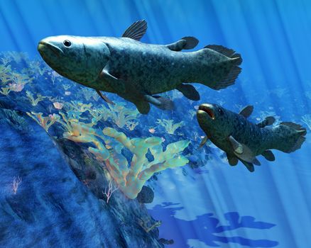 The Coelacanth fish was believed to be extinct but were discovered in 1938 to still be living.