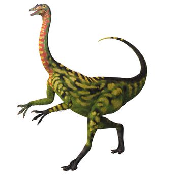 Deincheirus was a large theropod carnivorous dinosaur of the Cretaceous Age.