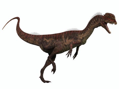 Dilophosaurus was a theropod predatory dinosaur that lived in the Jurassic period and had two crests on its skull.