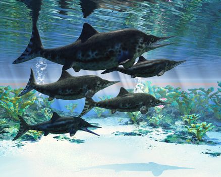 Ichthyosaurs were giant marine reptiles that were a carnivore in the Mesozoic era.