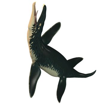 Liopleurodon was a large carnivorous marine reptile in the Jurassic epoch.