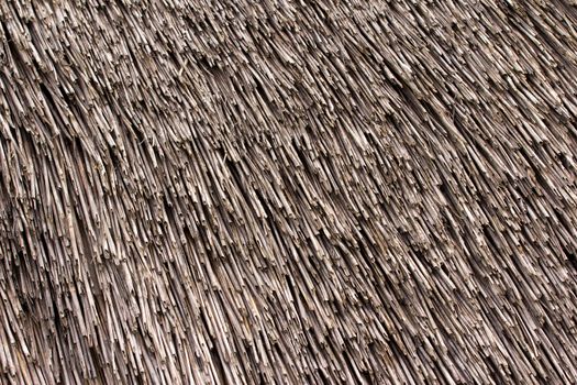 Thatched roof texture. Closeup of straws