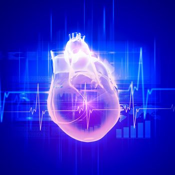 Virtual image of human heart with cardiogram