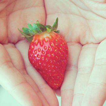 one fresh strawberry in hands with retro filter effect