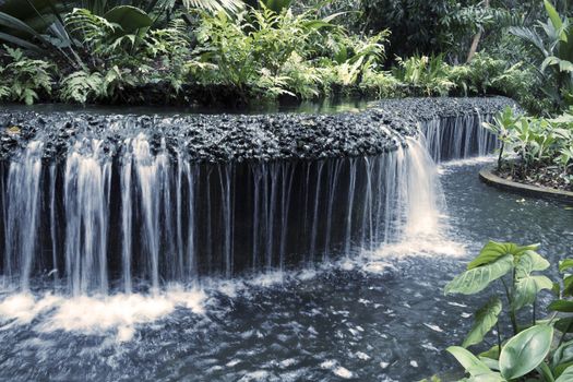 fresh artificial water cascade with rainforest surroundings in Singapore's Botanical garden