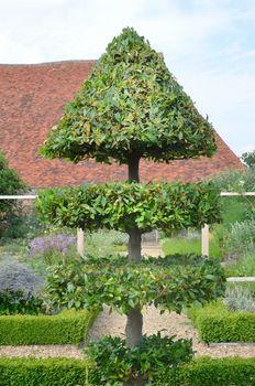Decorative trimmed tree