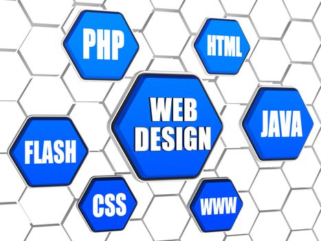 Web design - words cloud in 3d blue hexagons in cellular structure
