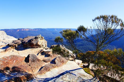 The westward view from Flat Rock, Kings Tableland is across the Jamison Valley to the distant walls at Narrow Neck - a long salient  extending more than 10 km south from Katoomba.  The remnant in the middle ground is Mt Solitary. 
