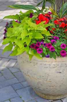 Colorful begonia and petunia flower planter on patio