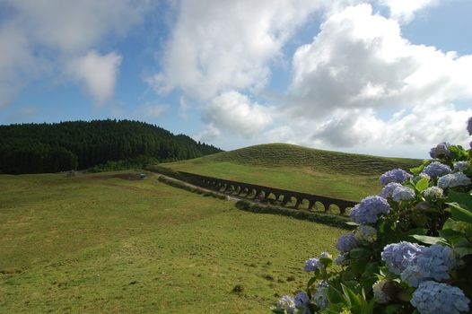 Aqueduct beyond the hydrangeas in Azores, portugal