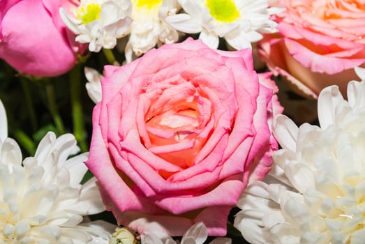 Pink Roses and White Flowers.