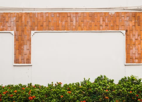 Plain Concrete Wall with Orange Brick and Ixora Plant.