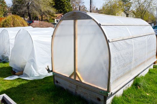 These hot house greenhouses are built by hand to house peppers in this garden.
