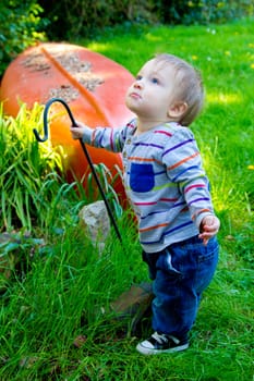 A very curious one year old toddler boy explores his backyard and plays with interesting things among the grass and plants.