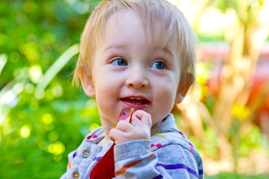 A one year old boy poses for a picture while playing with a leaf outdoors in the backyard wearing a striped shirt and looking cute and adorable.