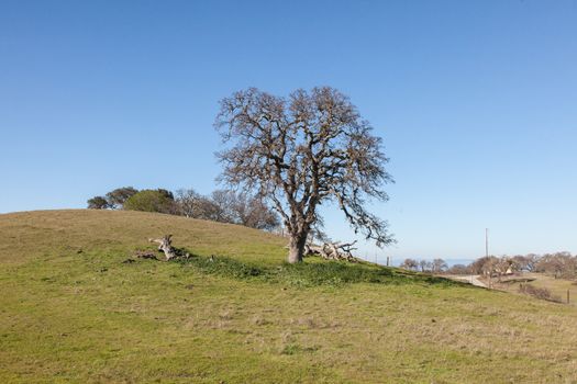 The Stanford Dish loop is a popular route in Palo Alto suitable for running, walking, and hiking.