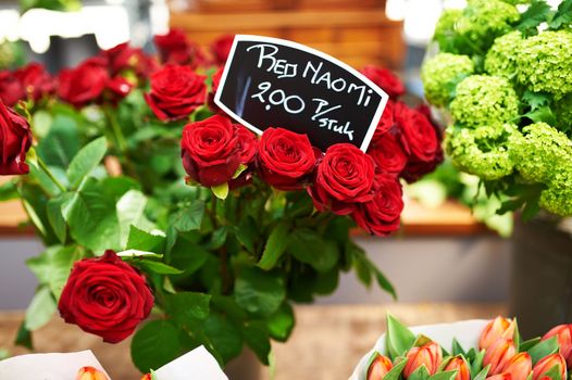 Amsterdam flower market close up details