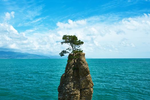 Ligurian coast in Italy