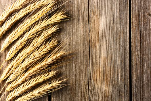 Rye spikelets on wooden background