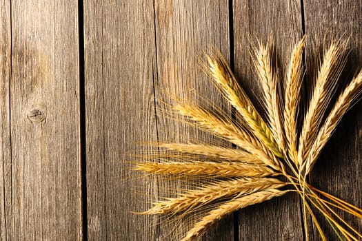 Rye spikelets on wooden background