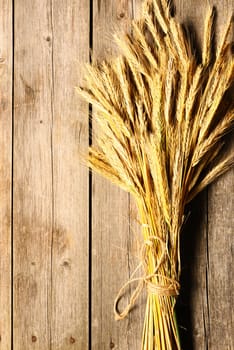 Rye spikelets on wooden background