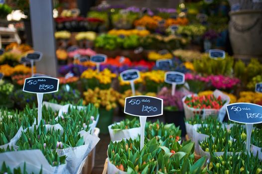 Amsterdam flower market close up details