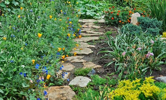 A stone walkway winding its way into the the garden beside the flowers