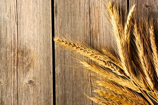 Rye spikelets on wooden background