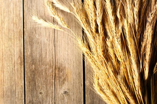 Rye spikelets on wooden background