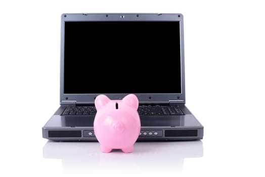 piggy bany looking at computer screen, copy space for screen. includes clipping path