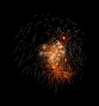 Colorful fireworks on the black sky background