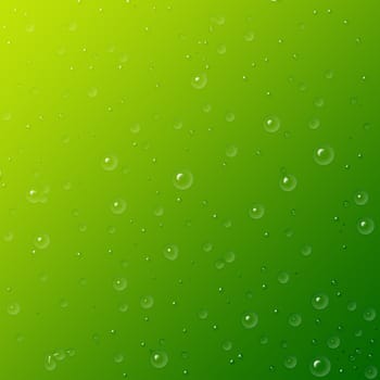 water droplets on green background