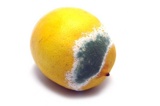 Moulded lemon isolated on a white background