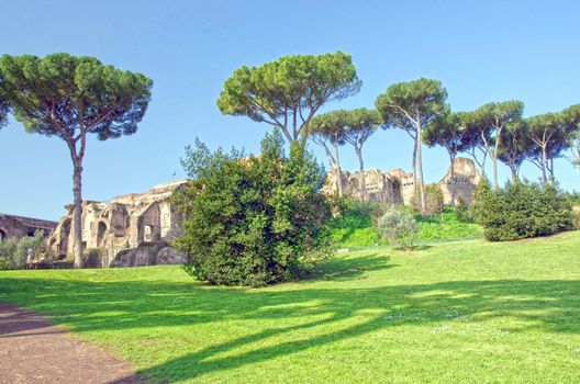 Palatine Hill in Roman Forum, Rome, Italy