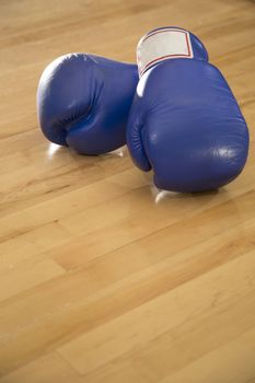 A pair of blue boxing gloves in a gym