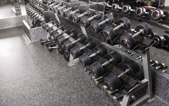 A rack of dumbbells in a gym.