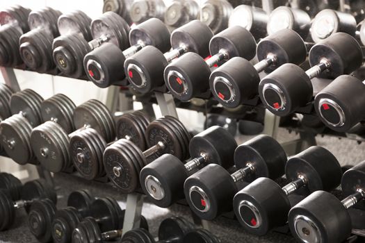 A rack of dumbbells in a gym.