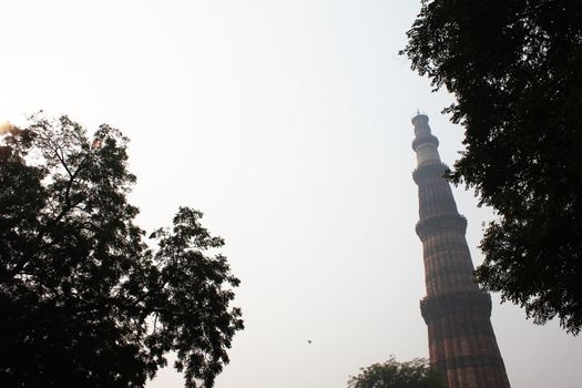 qutub minar with trees with fog