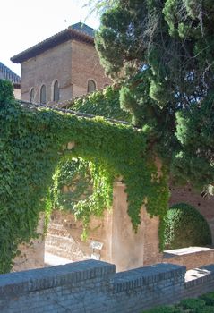 Gardens of the Generalife. Alhambra. Granada, Spain