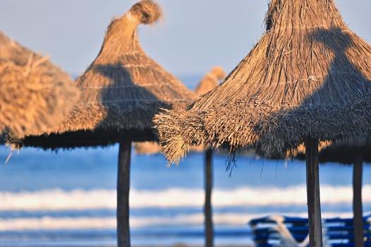 Sunshades in summer day at the beach near the sea