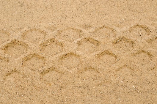 closeup of heavy machine track mark remain on sand pit quarry ground after rain background.