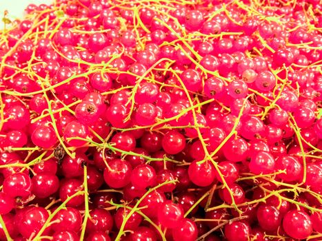 A bunch of redcurrant at a marketplace