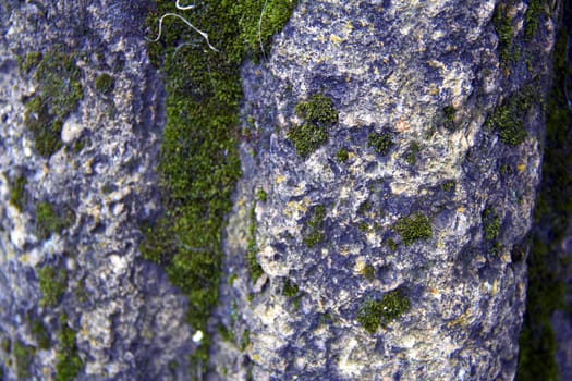 old stone  with green moss
